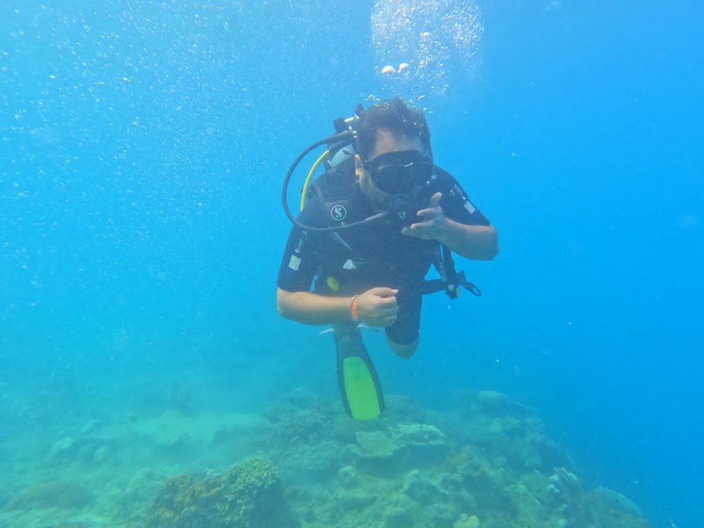 Diving Paradise Zanzibar