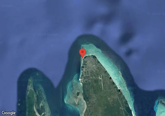Shane's Reef